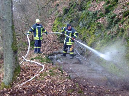 Reinigung der Römerspuren - 19.03.2016