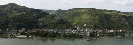 Bacharach am Rhein - Blick vom Rheinsteig aus