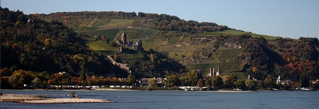 Bacharach am Rhein - Blick vom Rhein auf die Stadt