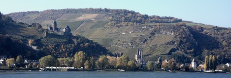 Bacharach am Rhein - Blick aus den Weinbergen in die Stadt